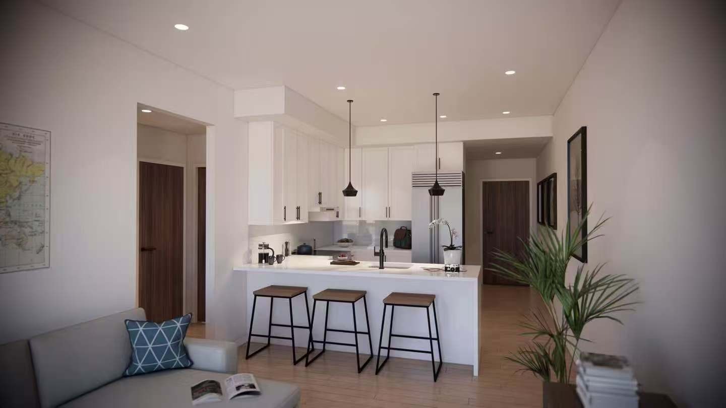 New Boston Condo-Modular Kitchen