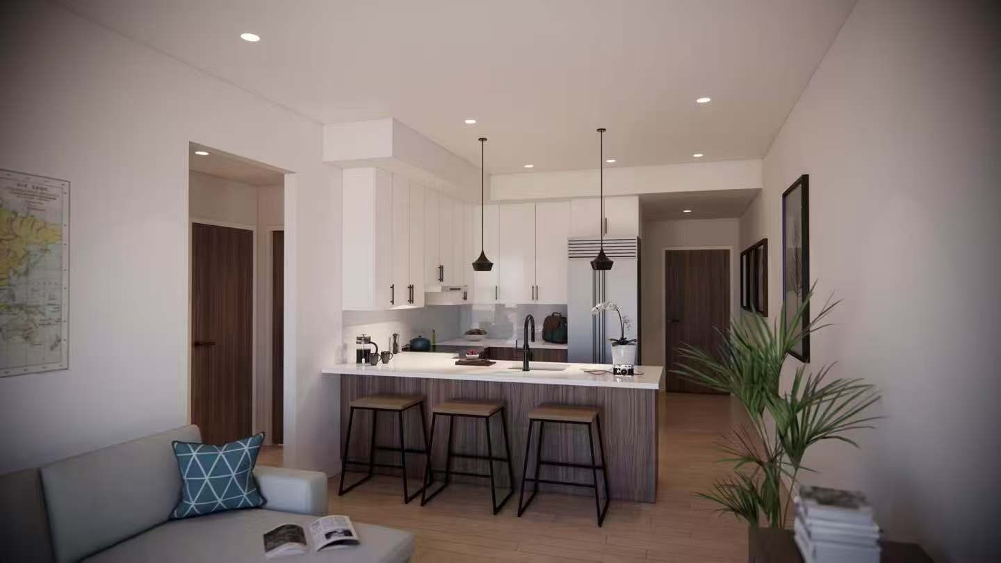 New Boston Condo-Modular Kitchen